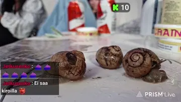 worlds fastest snail race