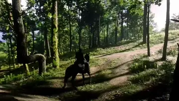 RDR2- PC CLIP WITH VISUAL OVERHAUL MOD FAKE HDR