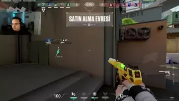 bela