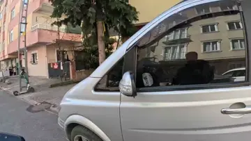 Organik izleyici