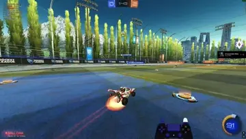 xd