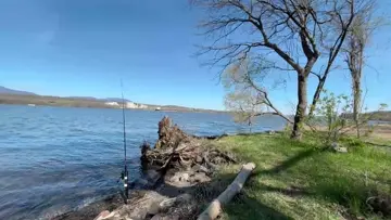 LIVE CATCH!