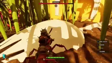 combat