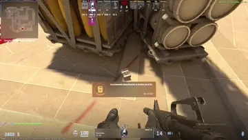 xd