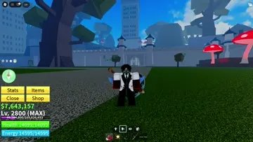 Y