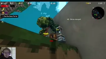 inverted controls