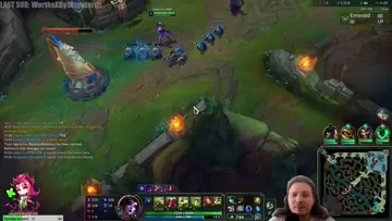 Čurák rammus
