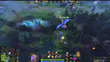 xd