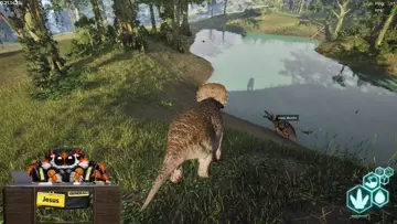 Where is she going?