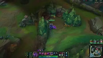 Quadra