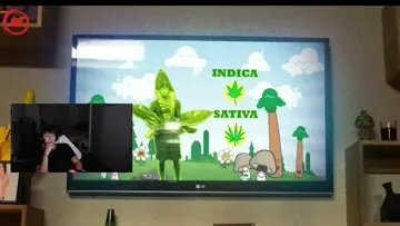 como cultivar