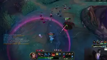 Un flash de lambucio