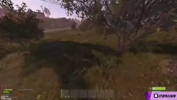 xd