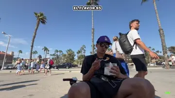 clips