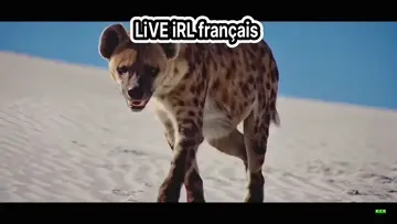 rap français  