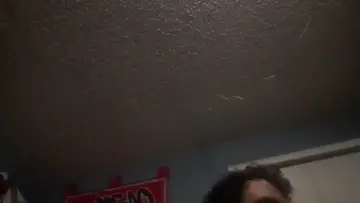 L chicken andy