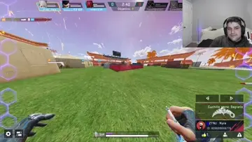 hay