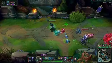 Morde cosas