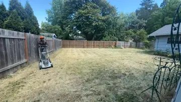 Slsve Irl!!