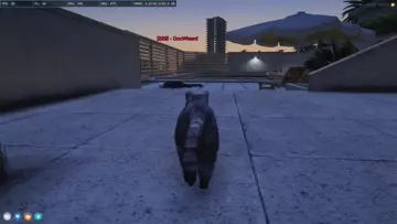 Meow - Gang life isn't for you - Meow