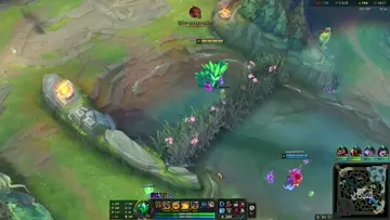 akcayxsmurf :))