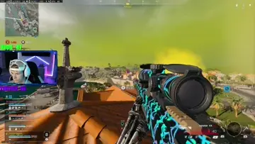 snipe