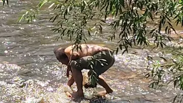 Sasquatch found in wild bb