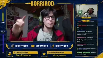 borri pollera