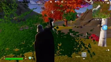 bush vader