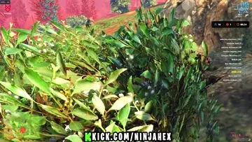 ARENA II SWITCH RP