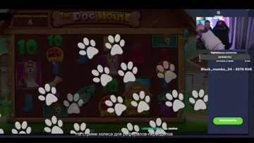 Х 500 DOG HOUSE mega по 80