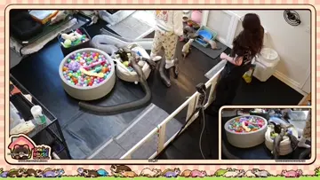 Ferret Snds on back legs