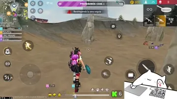 Xd