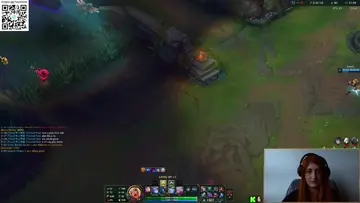 Cuidado com o Gatinho