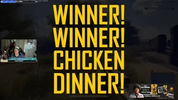 14 Kills Day 2 solo Winner Chicken Dinner Max