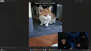 kot sra do kibla XD