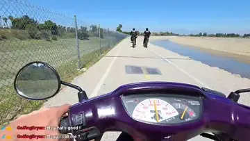 COPS GOTEM