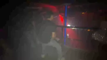 El alcohol los pone agresivos