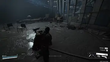 rat in the dark