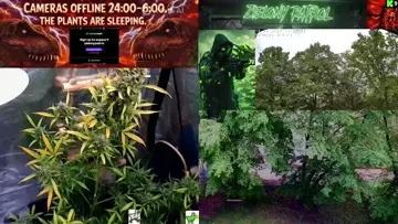 May 18, 2026: We're cutting down the bush
