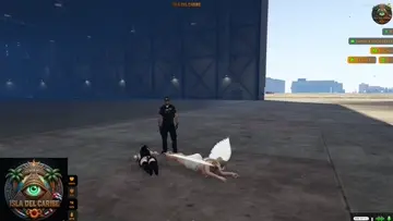 Policia corrupto