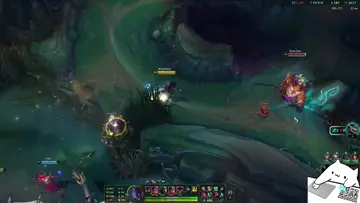 bu zed kim??