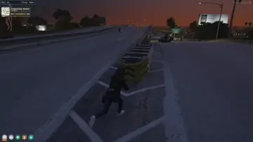 vs Vagos