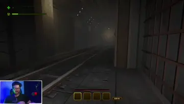 inseto médio de metro