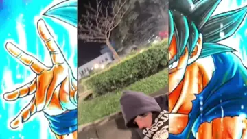 suene la mostra para para
