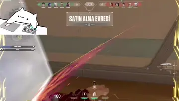 ACE