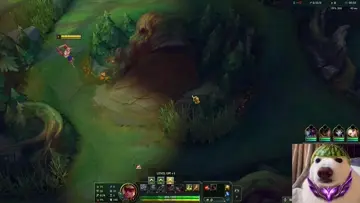 xddddd