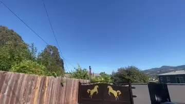 ran over