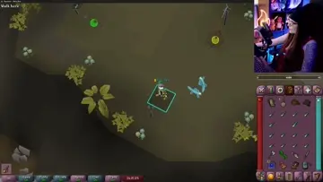 boo!