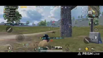 The Punnisher: PubgMobile